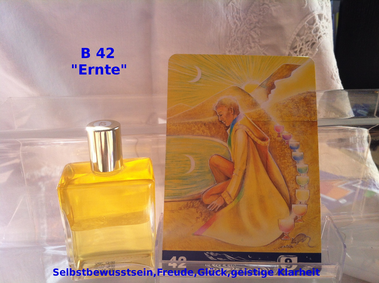 B 42  Gelb/Gelb